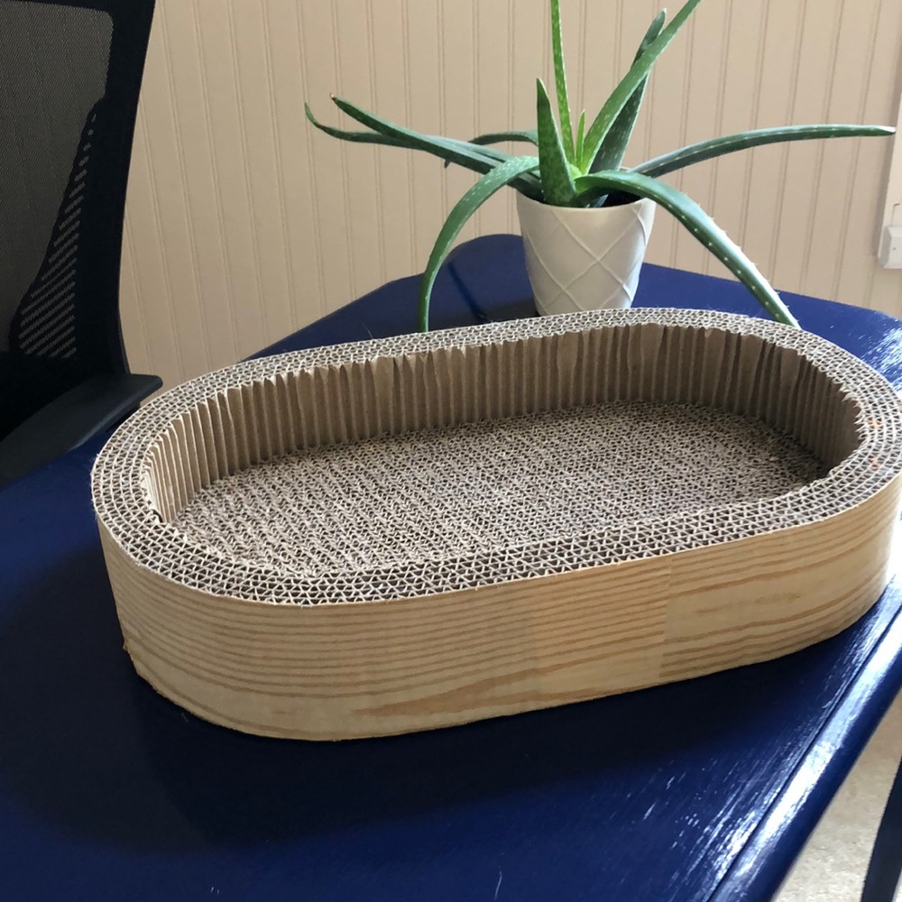 Cat scratchpad